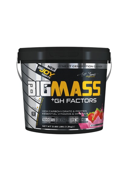 Bigmass Mass Gainer Gh factors Karbonhidrat Protein Çilek Aroma 1200g