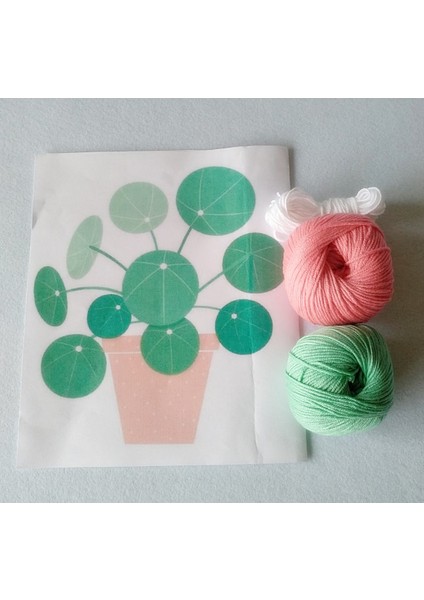 Pilea Punch Nakış Seti