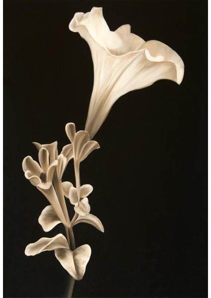 Dokulu Tablo Seti Çerçeveli 4lü Set 130 x 40 cm fiyatları