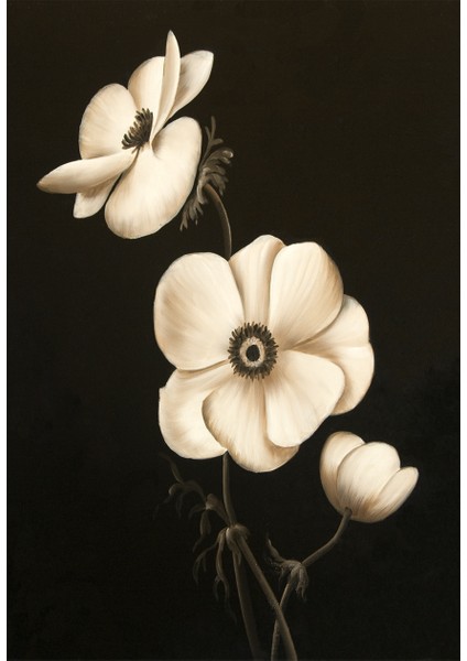 Dokulu Tablo Seti Çerçeveli 4lü Set 130 x 40 cm fırsatları