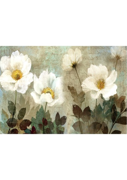Dokulu Tablo Seti Çerçeveli 4lü Set 120 x 65 cm