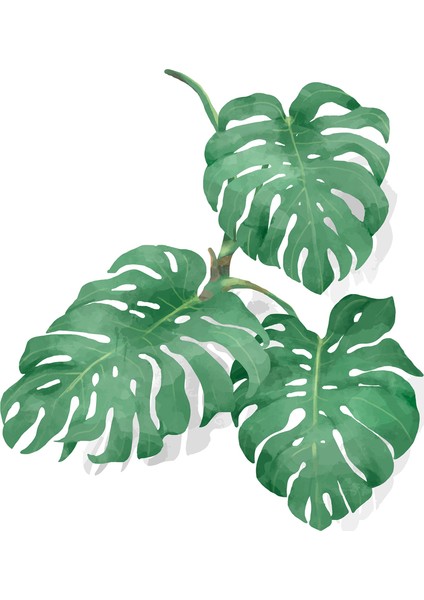 Dokulu Tablo Seti Çerçeveli 3lü Set 65 x 65 cm