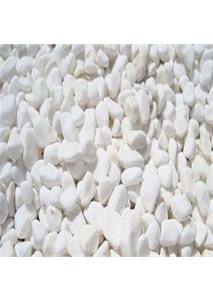 Dolomite Bahçe Süsleme Podima Dolomit Taşı 1,5 - 2,5 cm 10 kg