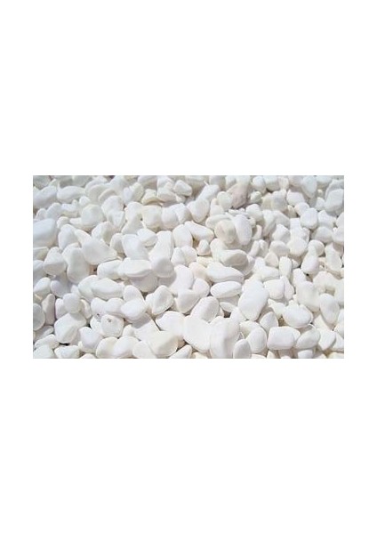 Dolomite Bahçe Süsleme Podima Dolomit Taşı 4 - 6 cm 10 kg