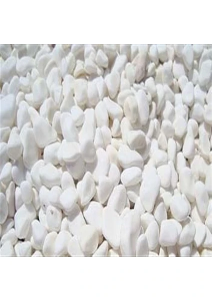 Dolomite Bahçe Süsleme Podima Dolomit Taşı 4 - 6 cm 10 kg