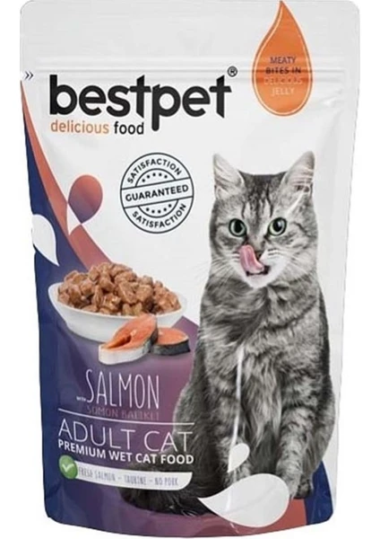 Adult Jelly Somonlu Kedi Pouch Mama 85 gr 24'lü