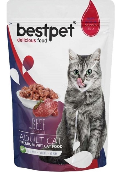 Adult Jelly Biftekli Kedi Pouch Mama 85 gr