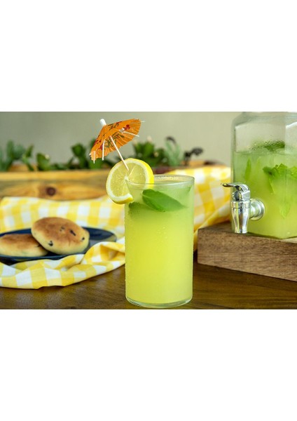 Limonata Pet 1 Lt 4'lü Paket