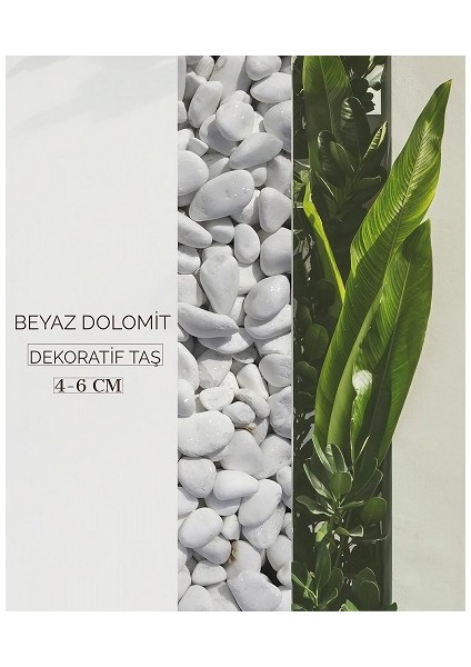Beyaz Dolomit Doğal Dekoratif Taş 4-6 Cm 25 Kg fiyatları