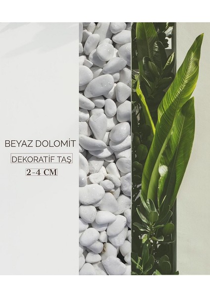 Beyaz Dolomit Doğal Dekoratif Taş 2-4 Cm 10 Kg fiyatları