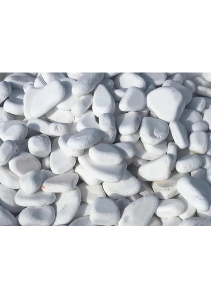 Beyaz Dolomit Doğal Dekoratif Taş 2-4 Cm 10 Kg modelleri