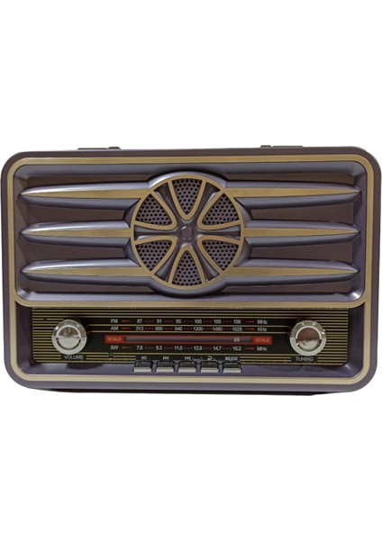 RT-881 Nostaljik Bluetooth Radyo