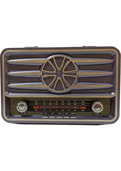 RT-881 Nostaljik Bluetooth Radyo