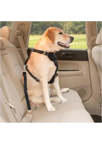 Araç Içi Evcil Hayvan Tasma Kemeri Siyah modelleri