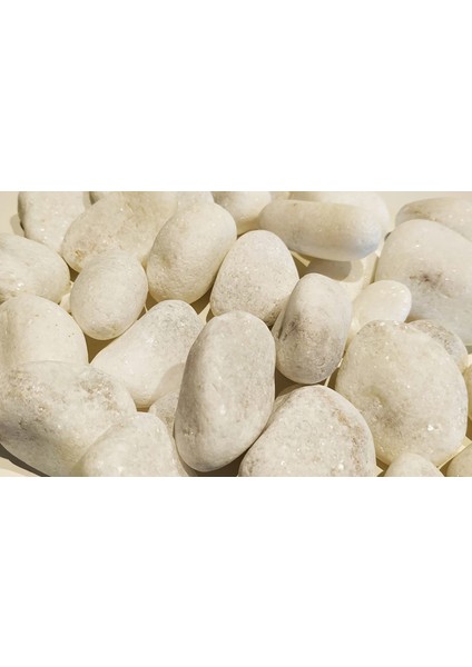 Dolomite Beyaz Dolomit Taş 1 kg 2 - 4 cm Akvaryum Çakıl Bahçe Terrarium Taşı