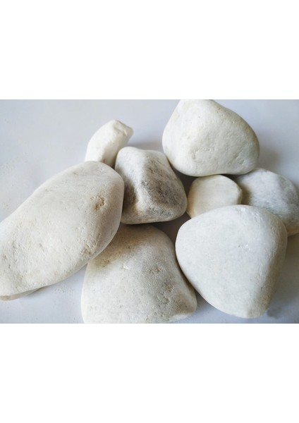 Dolomite Beyaz Dolomit Taş 1 kg 6 - 8 cm Akvaryum Çakıl Bahçe Terrarium Taşı