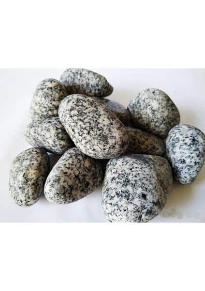 Dolomite Granit Dolomit Taş 1 kg 2 - 4 cm Akvaryum Çakıl Bahçe Terrarium Taşı