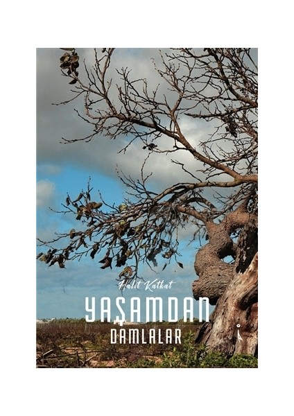 Yaşamdan Damlalar - Halit Katkat