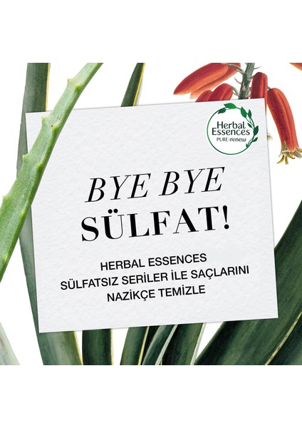 Herbal Essences Sülfatsız  Güç ve Nem Aloe + Bambu  Şampuan 380 ml