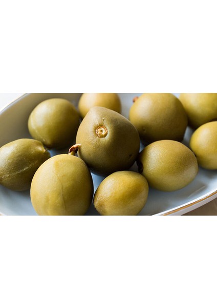 Hakiki Çubuk Turşusu 1 lt Çağla fiyatları