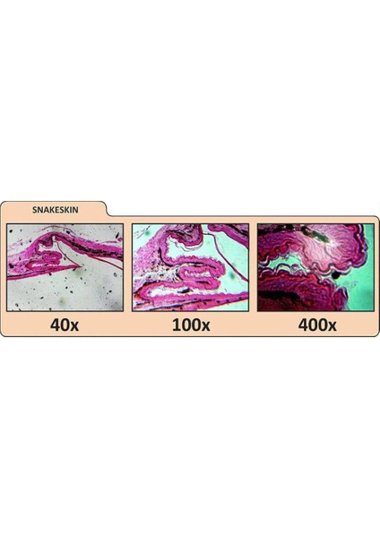 44341 LCD Digital Microscope Iı