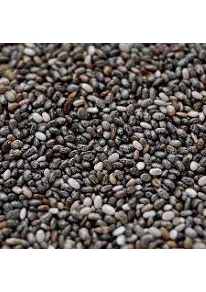Chia Tohumu 100 g fiyatları