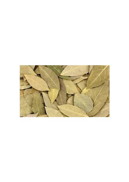 Defne Yaprağı 100 g fiyatları