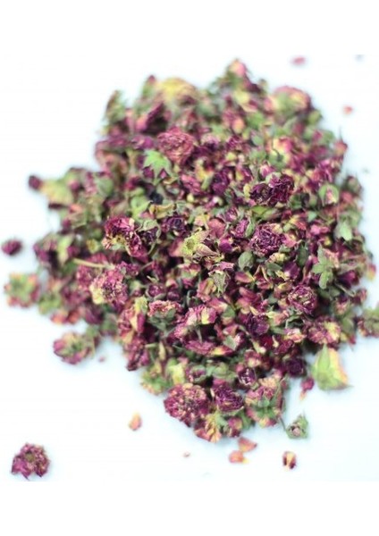 Ekinezya 250 g fiyatları