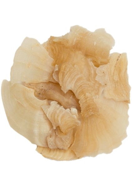 Kitre 100 g fiyatları
