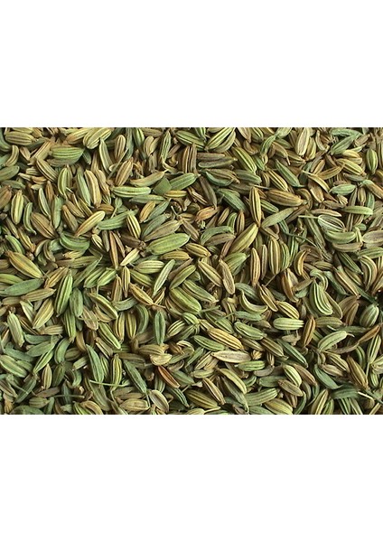 Rezene 100 g fiyatları