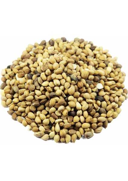 Tane Mahlep 50 g