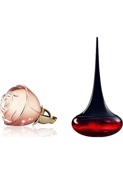 Love Potion Edp ve Volare Edp