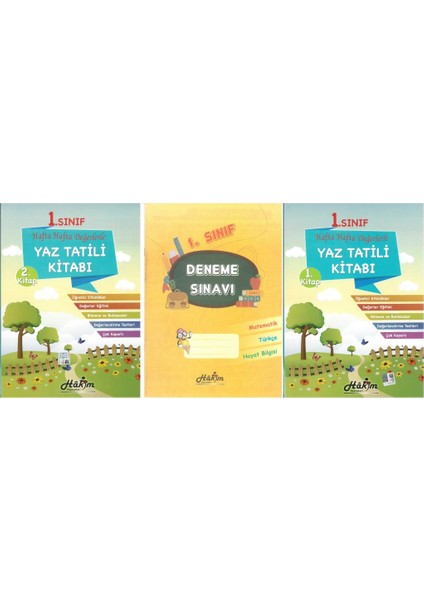 1.Sınıf Yaz Tatil Kitabı - 3 Kitap