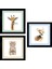 Dokulu Tablo Seti Çerçeveli 3lü Set 65 x 65 cm 1