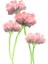 Dokulu Tablo Seti Çerçeveli 3lü Set 100 x 40 cm 4