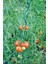 Spiral Pwc Bitki Destek Çubuğu 10'lu 8 mm 150 cm 2