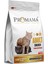 Chıcken Adult Tavuklu Yetişkin Kedi Maması 1,5 kg 1