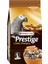 Versele Laga Loro Parque Afrika Papağan Yemi 1 kg 1