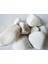 Dolomite Beyaz Dolomit Taş 1 kg 6 - 8 cm Akvaryum Çakıl Bahçe Terrarium Taşı 1