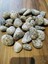 Dolomite Granit Dolomit Taş 1 kg 2 - 4 cm Akvaryum Çakıl Bahçe Terrarium Taşı 2