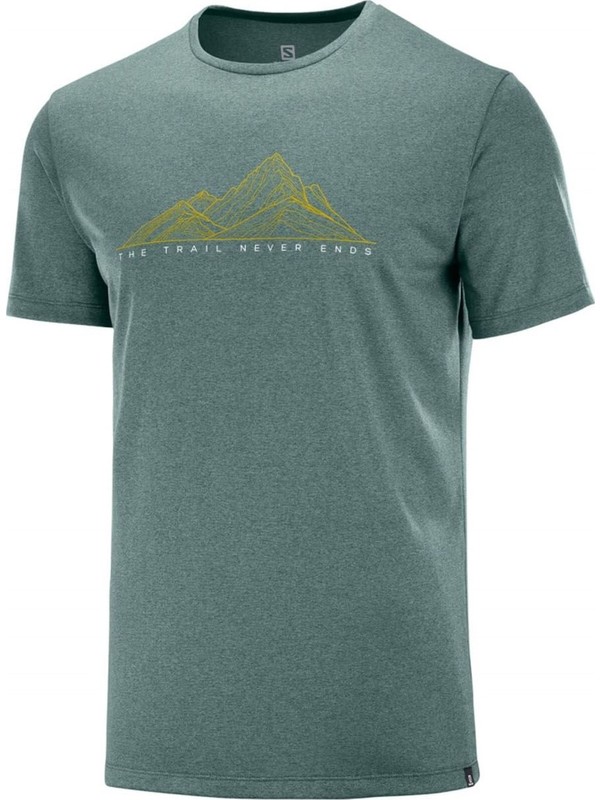 salomon agile graphic