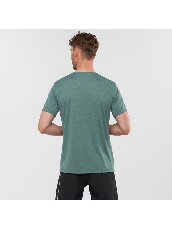 salomon agile graphic