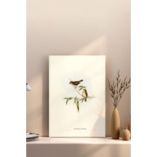 25X25 Poster Çerçevesiz Premium Bristol Kağıda Uv Baskı