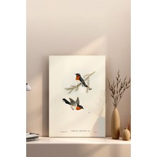 20X20 Poster Çerçevesiz Premium Bristol Kağıda Uv Baskı