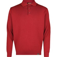 CO Cewo Tricot Çelik Örme Klasik Kalıp Yünlü Düğmeli Polo Yaka Bordo Triko Kazak