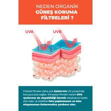 Eliamora  Yoğun  +50 Spf Güneş Kremi