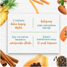 Stain Away Leke Karşıtı Diş Macunu, Bitkisel, Vejetaryen, Florürsüz, Parabensiz, 75 ml 3 Adet