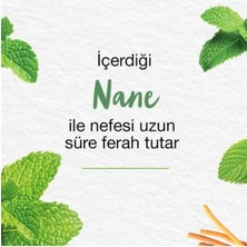 Mint Fresh Ferahlatıcı Diş Macunu, Bitkisel, Vejetaryen, Florürsüz, Parabensiz, 75 ml 3 Adet