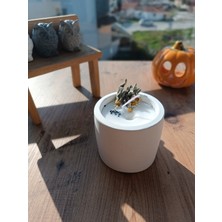 Urania Candle Urania Soya Mum Doğal Dekoratif Aromaterapi Mum