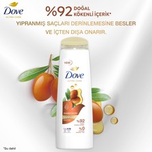 Dove Ultra Care Saç Bakım Şampuanı Onarıcı Bakım Argan Yağı 400 ml